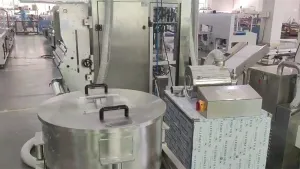 Automatic Powder Packaging System (Back Seal Bag)