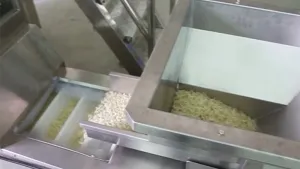 VFFS Packaging Machine with 10-Head Multihead Weigher