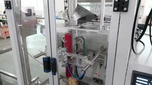 Automatic Granule Packaging System (Back Seal Bag)