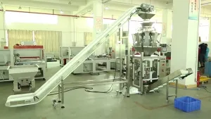 Vertical Form Fill Seal Machine with 10-Head Multihead Weigher