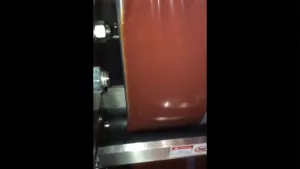 Vertical Form Fill Seal Machine for Air Free Liquid Packs