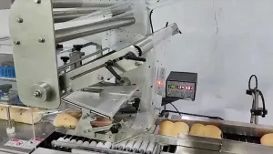 Horizontal Flow Wrapping Machine (Upper Film Feeding)