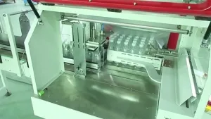Automatic Flat Surface Labeling Machine for Plastic Bags