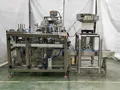 Horizontal Premade Pouch Packaging Machine for Liquids & Pastes