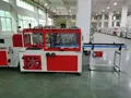 Automatic Shrink Wrapping Machine with Side Sealer